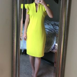 Bright Yellow New York & Company Flutter Sleeves Sheath Dress - Size Small